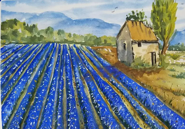 Lavender Rows — watercolor by Wade Norman